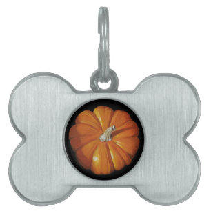 Placa Para Mascotas Etiquetas de mascota de calabaza