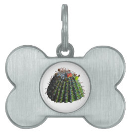 Placa Para Mascotas Etiquetas de mascotas de Cactus de barril