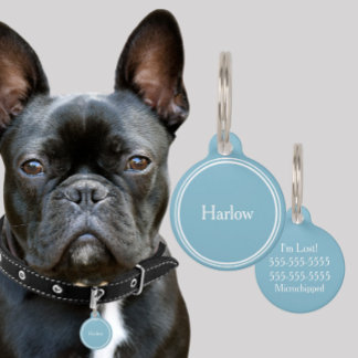 Placa Para Mascotas Etiquetas de nombres personalizados de identificac