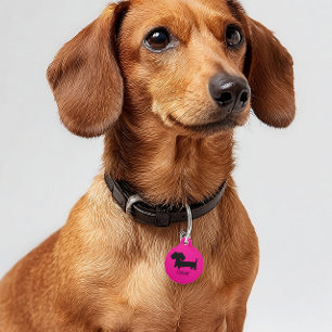 Placa Para Mascotas Etiquetas de perros Dachshund ID Rosa personalizad