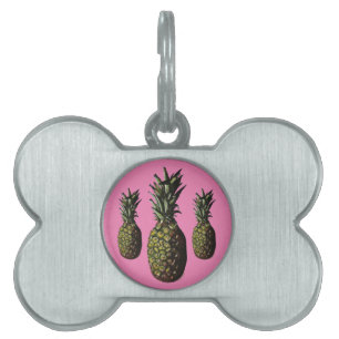 Placa Para Mascotas Etiquetas de piña