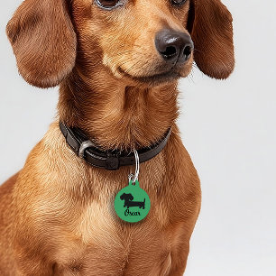 Placa Para Mascotas Etiquetas de seguridad de Dachshund Etiqueta de pe