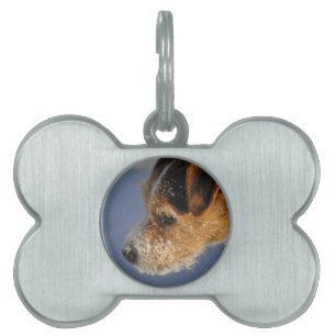 Placa Para Mascotas Etiquetas del mascota del hueso de perro