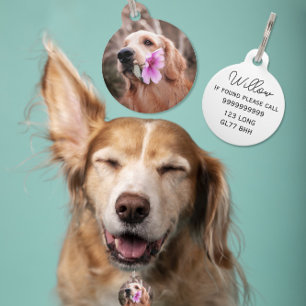 Placa Para Mascotas Etiquetas editables de mascota de perros/gatos