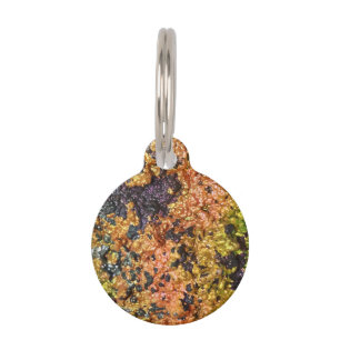 Placa Para Mascotas Falln Rusty Sunset Stones