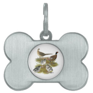 Placa Para Mascotas Familia de faisanes de collar