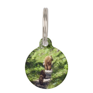 Placa Para Mascotas Familia de oso marrón