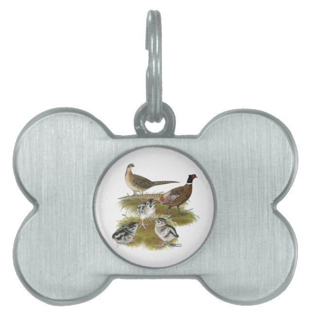 Placa Para Mascotas Familia Pheasant Ringneck (Frente)