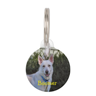 Placa Para Mascotas Fantasma