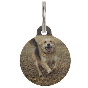 Placa Para Mascotas Felicidad