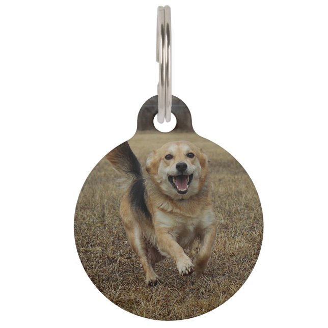 Placa Para Mascotas Felicidad (Anverso)