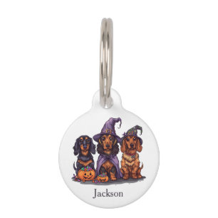 Placa Para Mascotas Feliz Halloween Dachshund Perros Brujos