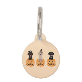 Placa Para Mascotas Feliz Halloween Labrador Recuperar Calabaza de Per