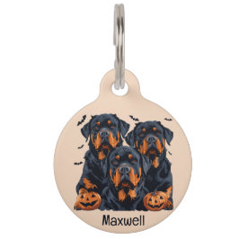 Placa Para Mascotas Feliz Rottweiler de Halloween perros Jack O Lanter