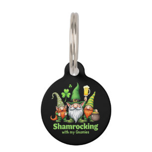 Placa Para Mascotas Festejando con mis gnomitos divertidos St. Patrick