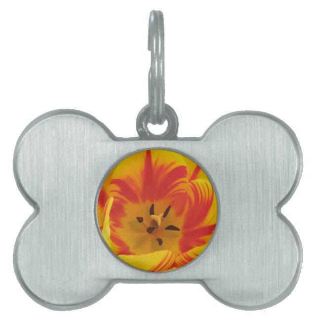 Placa Para Mascotas Fiery Tulip Pet Tag (Frente)