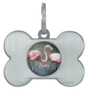Placa Para Mascotas Flamencos rosados