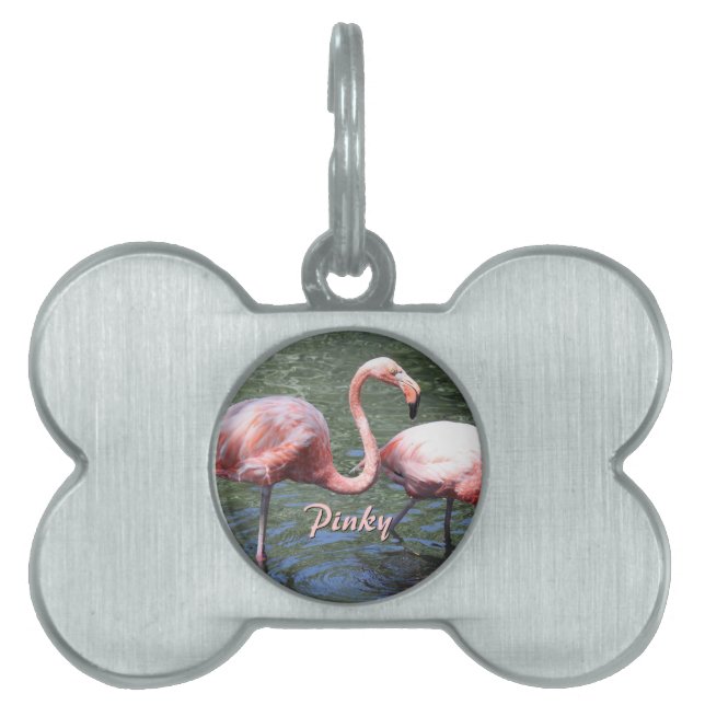 Placa Para Mascotas Flamencos rosados (Frente)