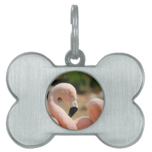 Placa Para Mascotas Flamingo