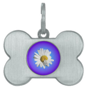Placa Para Mascotas Flor blanca de margarita floral gradiente azul púr