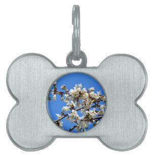 Placa Para Mascotas Flor blanca del árbol primaveral floral blanca