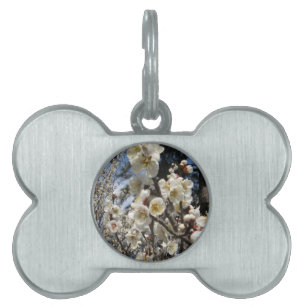 Placa Para Mascotas Flor de cerezo blanco / サ・(桜) Sakura/Sakura de cer