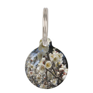 Placa Para Mascotas Flor de cerezo blanco / サ・(桜) Sakura/Sakura de cer