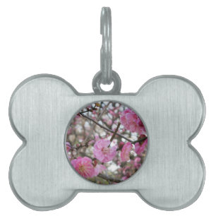 Placa Para Mascotas Flor de cerezo rosado / Sakura サ・(桜).