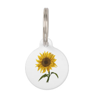 Placa Para Mascotas Flor de color de agua floral Sunflower