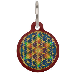Placa Para Mascotas FLOR DE LA VIDA - Flor fractal 1