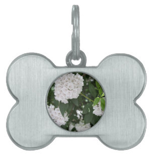 Placa Para Mascotas Flor de Laurel de Montaña Blanca con Forma de Estr