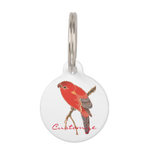 Placa Para Mascotas Flor de loro rojo tropical Thunder_Cove