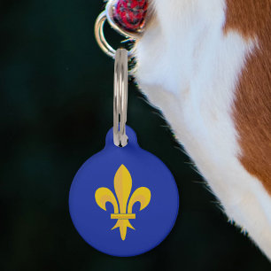 Placa Para Mascotas Flor de oro de Lis en azul real