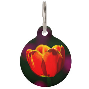 Placa Para Mascotas Flor de tulipán rojo