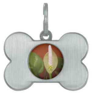 Placa Para Mascotas Flor evergreen china