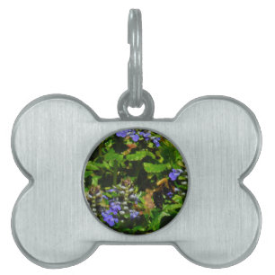 Placa Para Mascotas Flor morada y abeja burbuja