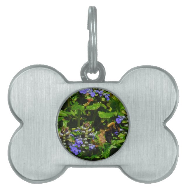 Placa Para Mascotas Flor morada y abeja burbuja (Frente)