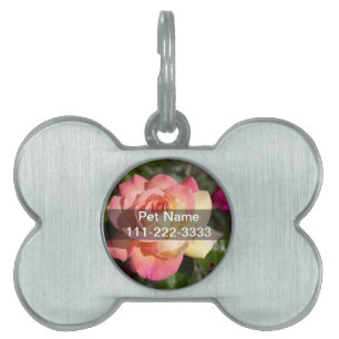 Placa Para Mascotas flor rosa rosa bonito y amarilla. Floral