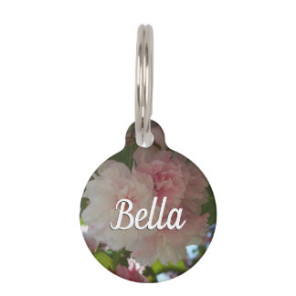 Placa Para Mascotas Floral de primavera del árbol de cerezo doble flor