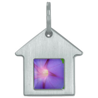 Placa Para Mascotas Floral Púrpura