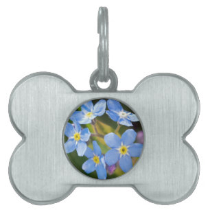 Placa Para Mascotas Florales pacíficos me olvidan no