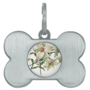 Placa Para Mascotas florece el lirio blanco de los flores de la