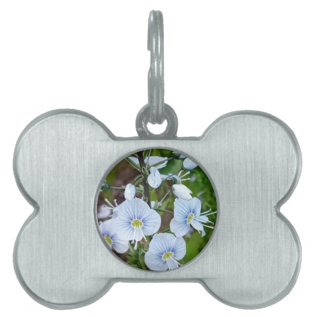 Placa Para Mascotas Flores azules (Frente)