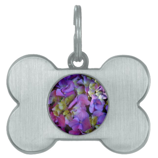 Placa Para Mascotas Flores de Hydrangeas azul morado (Frente)