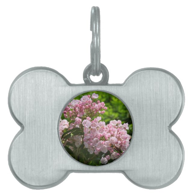 Placa Para Mascotas Flores de laurel de la montaña rosa bonito (Frente)