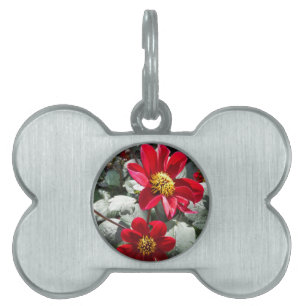 Placa Para Mascotas flores de margarita rosada roja / margarita