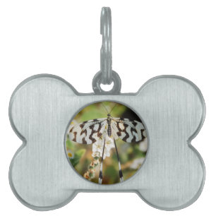 Placa Para Mascotas Flores de mariposa flores flores flores bodas Duch