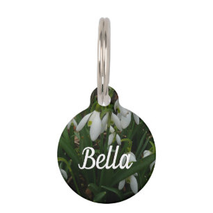 Placa Para Mascotas Flores de Primavera Blanca (Galanthus)