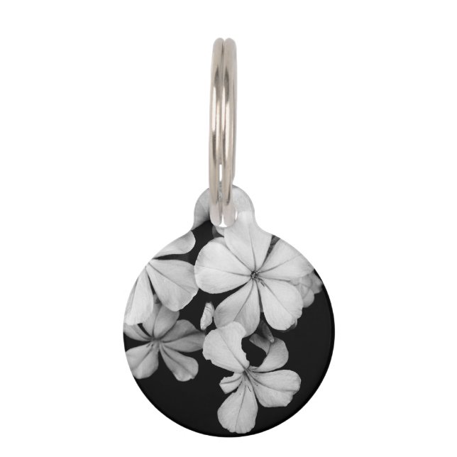 Placa Para Mascotas flores elegantes B&W (Anverso)