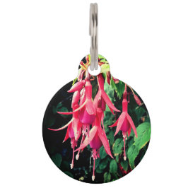 Placa Para Mascotas Flores rojas